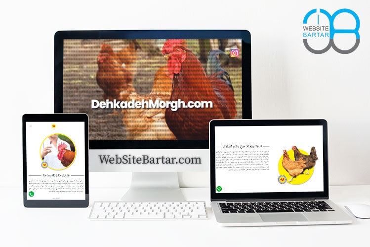 طراحی-وب-سایت-دهکده-مرغ-وب-سایت-برتر